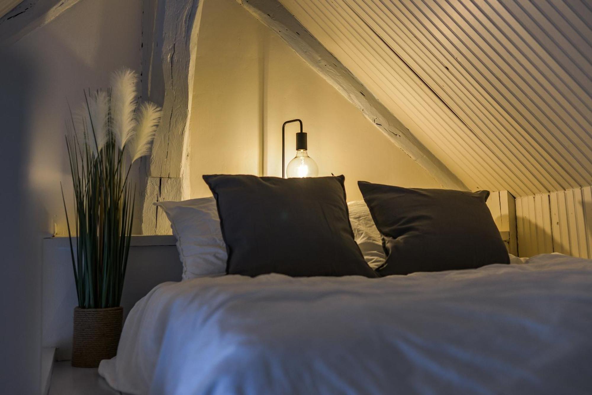 Appartement Le Saint-martin - Hypercentre - Netflix Tours